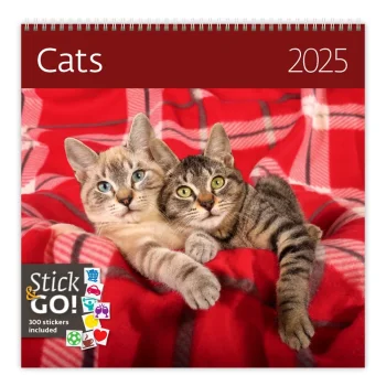 Kalendár Cats